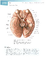 Sobotta Atlas of Human Anatomy  Head,Neck,Upper Limb Volume1 2006, page 377